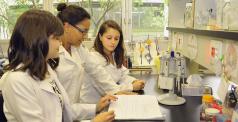 Três mulheres, vestindo batas brancas, olham para um mesmo caderno, localizado acima de balcão, em um laboratório. 
